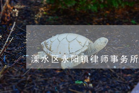 溧水区永阳镇律师事务所排名 溧水区永阳镇律师事务所排名