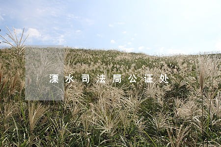 溧水司法局公证处 溧水司法局公证处