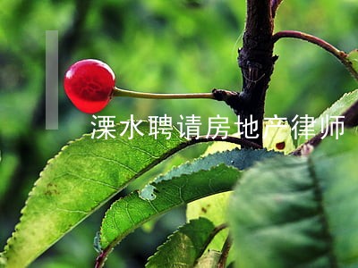 溧水聘请房地产律师 溧水聘请房地产律师
