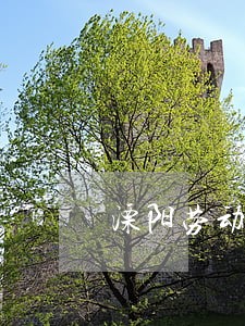 溧阳劳动仲裁在线咨询 溧阳劳动仲裁在线咨询