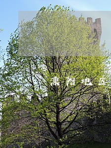 溧阳地区婚姻律师推荐 溧阳地区婚姻律师推荐