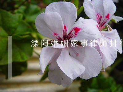 溧阳婚姻家事律师排行 溧阳婚姻家事律师排行