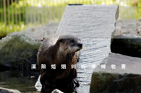 溧阳婚姻纠纷律师收费 溧阳婚姻纠纷律师收费