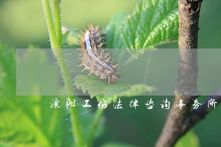 溧阳工伤法律咨询事务所 溧阳工伤法律咨询事务所