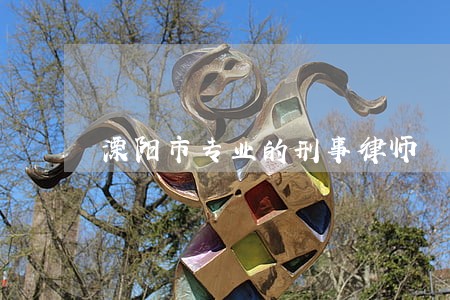 溧阳市专业的刑事律师