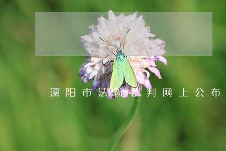 溧阳市法院裁判网上公布 溧阳市法院裁判网上公布