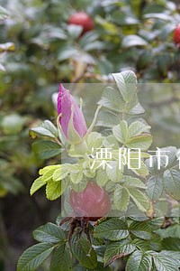 溧阳市行政工作 溧阳市行政工作