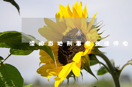 溧阳当地刑事专业律师电话 溧阳当地刑事专业律师电话