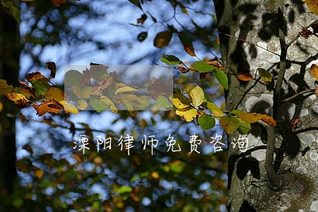 溧阳律师免费咨询 溧阳律师免费咨询