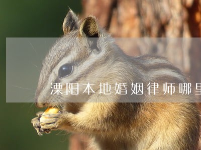 溧阳本地婚姻律师哪里找 溧阳本地婚姻律师哪里找