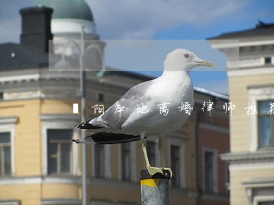 溧阳本地离婚律师推荐 溧阳本地离婚律师推荐