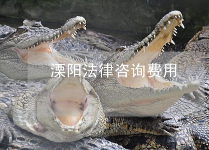 溧阳法律咨询费用 溧阳法律咨询费用