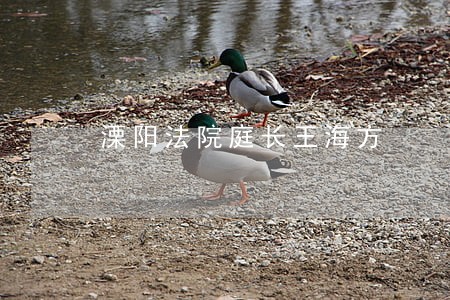 溧阳法院庭长王海方 溧阳法院庭长王海方