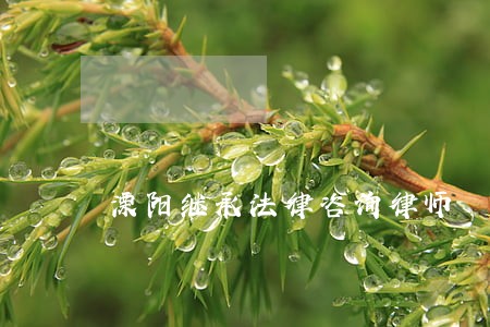 溧阳继承法律咨询律师 溧阳继承法律咨询律师