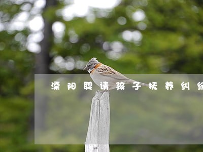 溧阳聘请孩子抚养纠纷律师选哪个