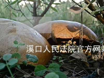 溪口人民法院官方网站
