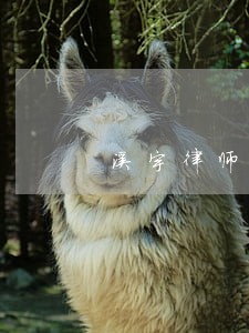 溪宇律师 溪宇律师