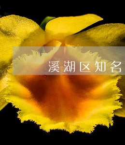 溪湖区知名不当得利诉讼律师 溪湖区知名不当得利诉讼律师
