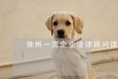 滁州一流企业法律顾问律师 滁州一流企业法律顾问律师