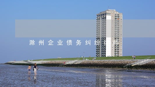 滁州企业债务纠纷律师 滁州企业债务纠纷律师