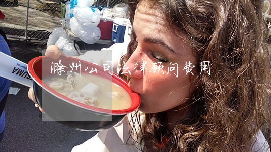 滁州公司法律顾问费用 滁州公司法律顾问费用