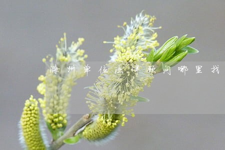 滁州单位法律顾问哪里找
