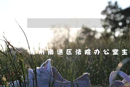 滁州南谯区法院办公室主任
