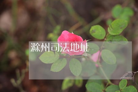 滁州司法地址 滁州司法地址