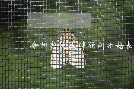 滁州咨询法律顾问价格表 滁州咨询法律顾问价格表