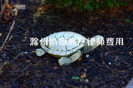 滁州婚姻房产律师费用 滁州婚姻房产律师费用
