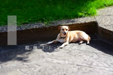 滁州工厂法律顾问 滁州工厂法律顾问