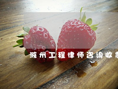 滁州工程律师咨询收费 滁州工程律师咨询收费