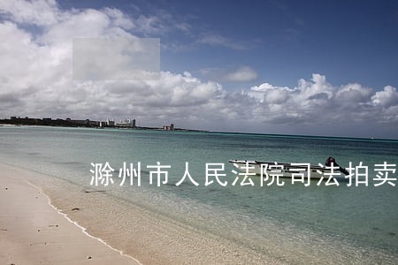 滁州市人民法院司法拍卖阿里