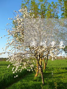 滁州市免费法律咨询 滁州市免费法律咨询