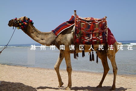 滁州市南谯区人民法院在哪里