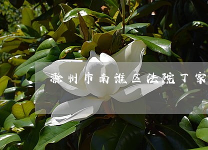 滁州市南谯区法院丁家春法官