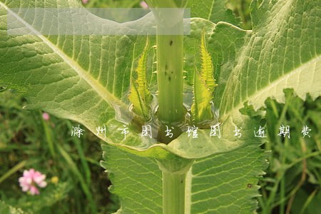 滁州市图书馆图书逾期费用 滁州市图书馆图书逾期费用
