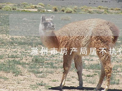 滁州市房产局居不执行法院判决