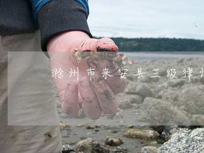 滁州市来安县三级律师有几位 滁州市来安县三级律师有几位
