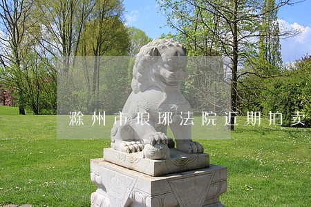 滁州市琅琊法院近期拍卖网 滁州市琅琊法院近期拍卖网