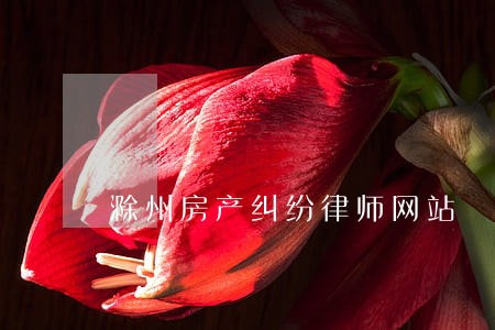 滁州房产纠纷律师网站 滁州房产纠纷律师网站