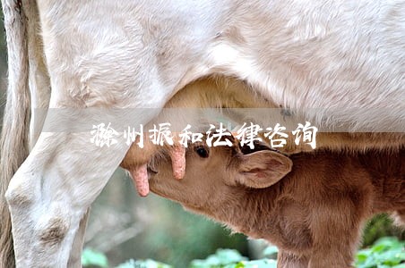滁州振和法律咨询 滁州振和法律咨询