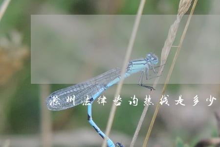 滁州法律咨询热线是多少 滁州法律咨询热线是多少