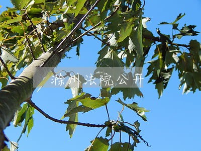 滁州法院公开
