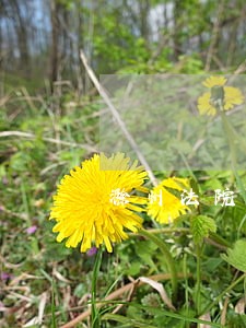 滁州法院查询系统 滁州法院查询系统