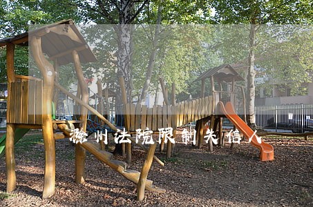 滁州法院限制失信人 滁州法院限制失信人