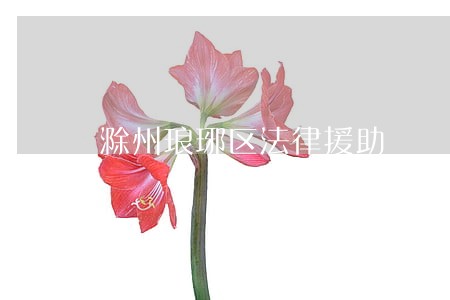 滁州琅琊区法律援助
