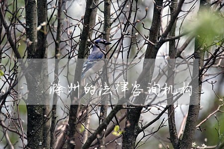 滁州的法律咨询机构 滁州的法律咨询机构