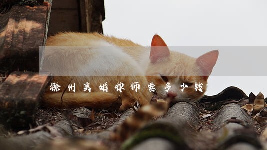 滁州离婚律师要多少钱 滁州离婚律师要多少钱