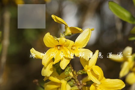 滁州网贷逾期退息退保二次分期 滁州网贷逾期退息退保二次分期